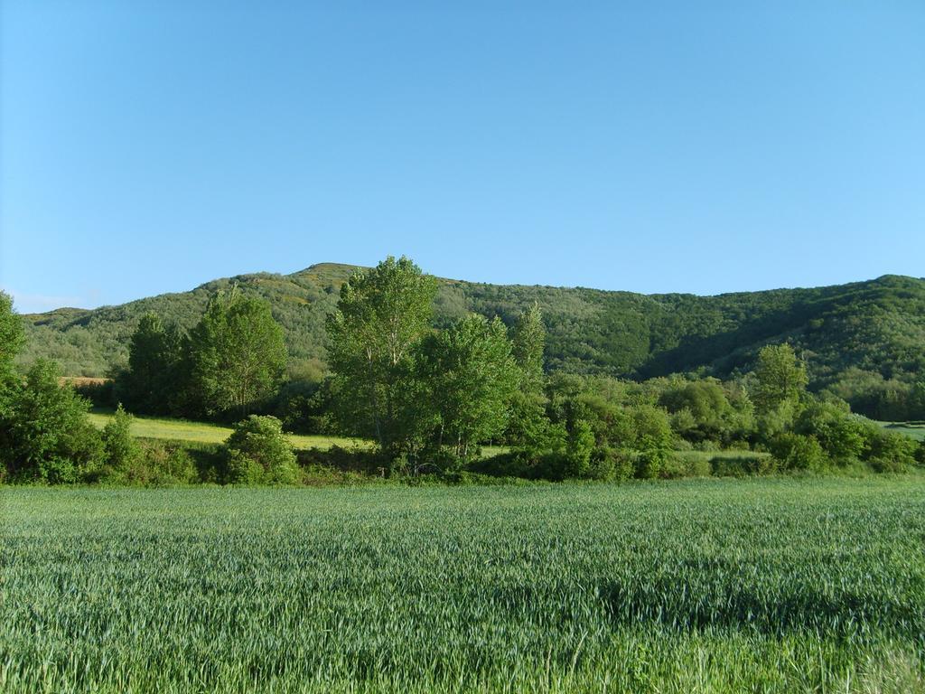 El Valle Perdido Casas Rurales Revelillas Exteriér fotografie